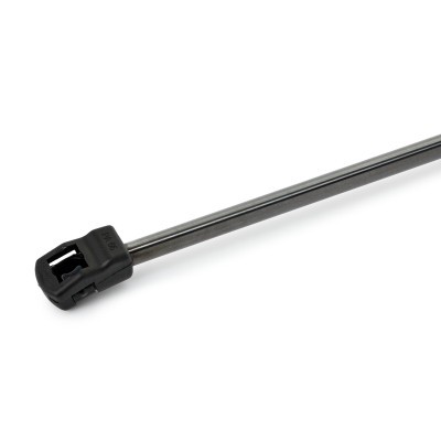 Gasfeder, Koffer-/Laderaum RIDEX 219G1231 219G1231 - foto 4