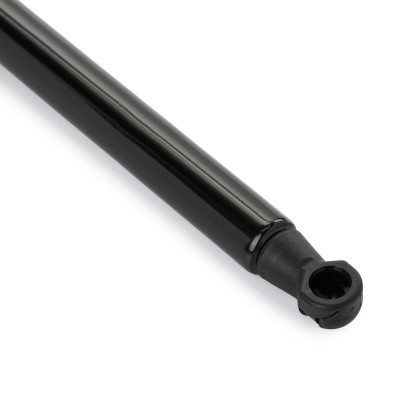 Gasfeder, Koffer-/Laderaum RIDEX 219G1094 219G1094 - foto 6