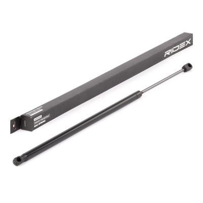 Gasfeder, Koffer-/Laderaum RIDEX 219G0873 219G0873 - foto 2