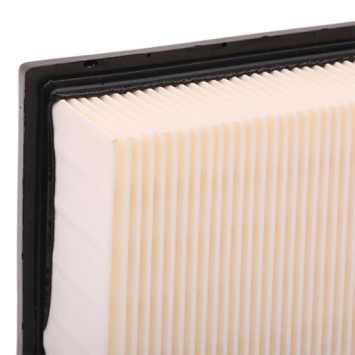 Luftfilter RIDEX 8A0108 8A0108 - foto 6