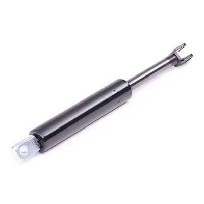 Gasfeder, Koffer-/Laderaum RIDEX 219G0191 219G0191 - foto 3