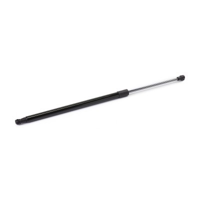 Gasfeder, Koffer-/Laderaum RIDEX 219G1081 219G1081 - foto 5