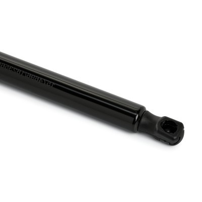 Gasfeder, Koffer-/Laderaum RIDEX 219G1128 219G1128 - foto 5
