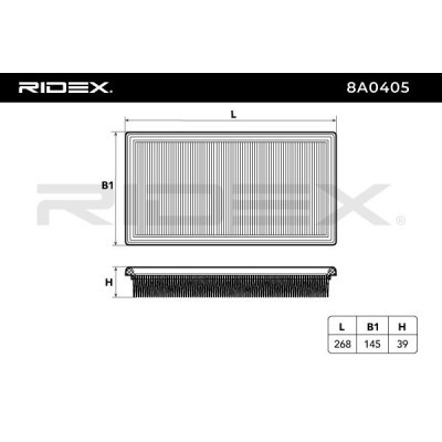 Luftfilter RIDEX 8A0405 8A0405 - foto 6