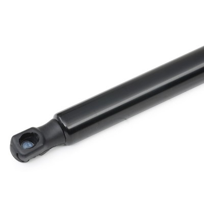 Gasfeder, Koffer-/Laderaum RIDEX 219G0196 219G0196 - foto 5