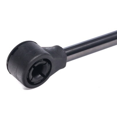 Gasfeder, Koffer-/Laderaum RIDEX 219G0925 219G0925 - foto 9