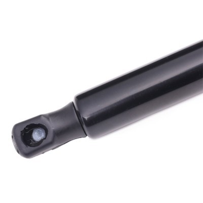 Gasfeder, Koffer-/Laderaum RIDEX 219G0289 219G0289 - foto 4