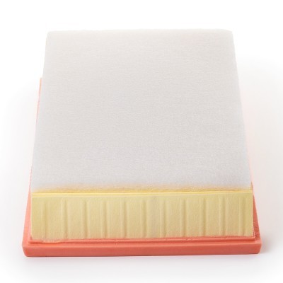 Luftfilter RIDEX 8A0998P 8A0998P - foto 5