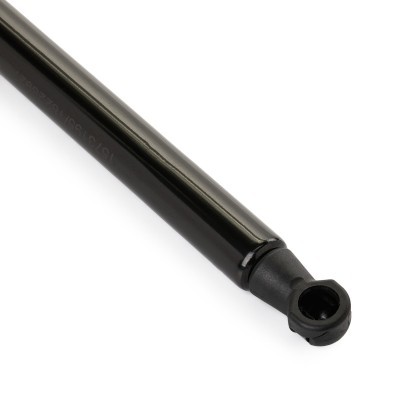 Gasfeder, Koffer-/Laderaum RIDEX 219G1122 219G1122 - foto 5