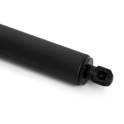 Gasfeder, Koffer-/Laderaum RIDEX 219G1124 219G1124 - foto 5