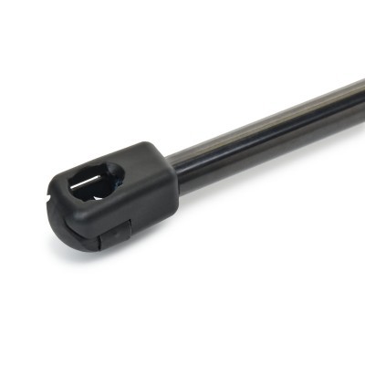 Gasfeder, Koffer-/Laderaum RIDEX 219G1891 219G1891 - foto 4
