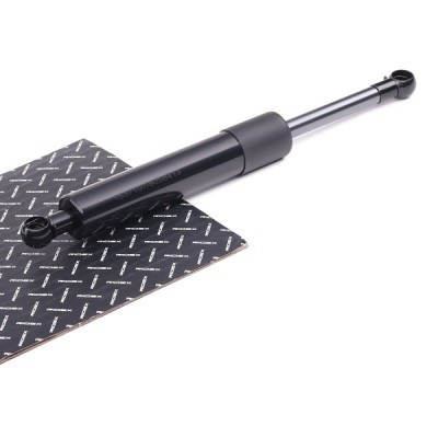 Gasfeder, Koffer-/Laderaum RIDEX 219G0045 219G0045 - foto 2