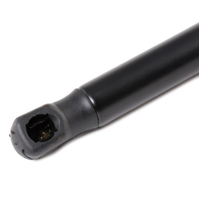 Gasfeder, Koffer-/Laderaum RIDEX 219G0260 219G0260 - foto 4
