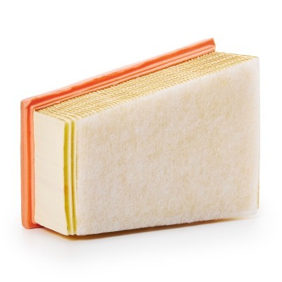 Luftfilter RIDEX 8A0080P 8A0080P - foto 4