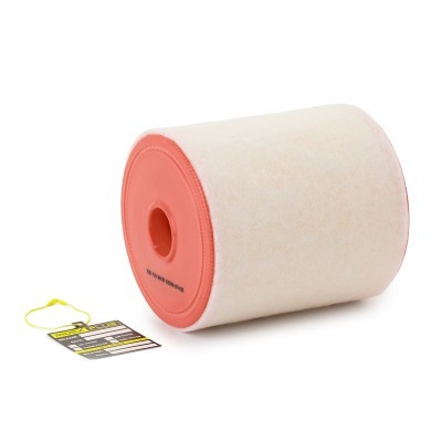 Luftfilter RIDEX 8A0435P 8A0435P - foto 2