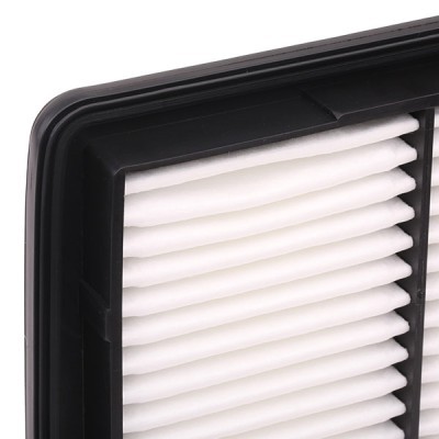 Luftfilter RIDEX 8A0483 8A0483 - foto 5
