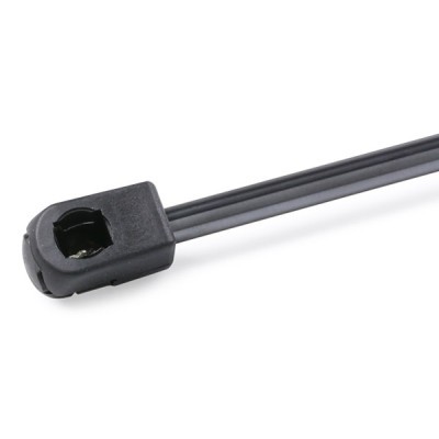 Gasfeder, Koffer-/Laderaum RIDEX 219G0803 219G0803 - foto 5