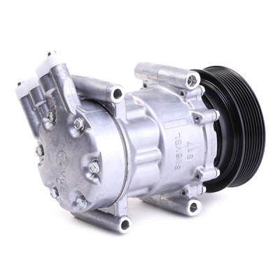 Kompressor, Klimaanlage RENAULT Clio III Hatchback 447K0275 - foto 4
