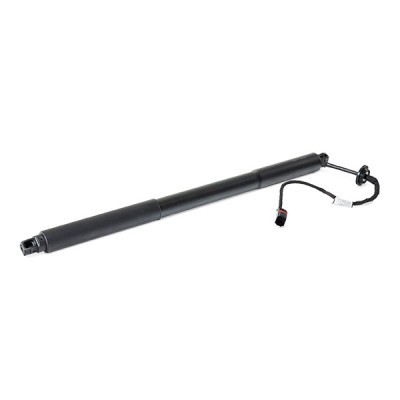 Gasfeder, Koffer-/Laderaum RIDEX 219G1034 219G1034 - foto 3
