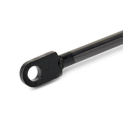 Gasfeder, Koffer-/Laderaum RIDEX 219G1087 219G1087 - foto 5