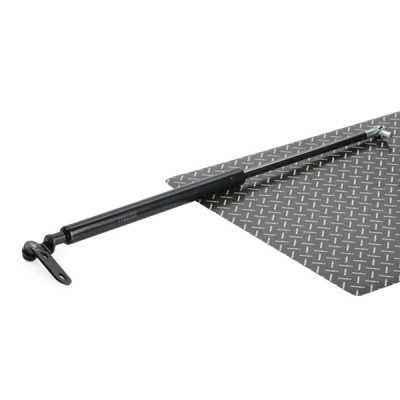 Gasfeder, Koffer-/Laderaum RIDEX 219G0443 219G0443 - foto 2