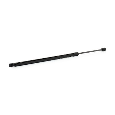 Gasfeder, Koffer-/Laderaum RIDEX 219G1525 219G1525 - foto 3