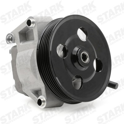 Hydraulikpumpe, Lenkung Stark SKHP-0540126 SKHP-0540126 - foto 6