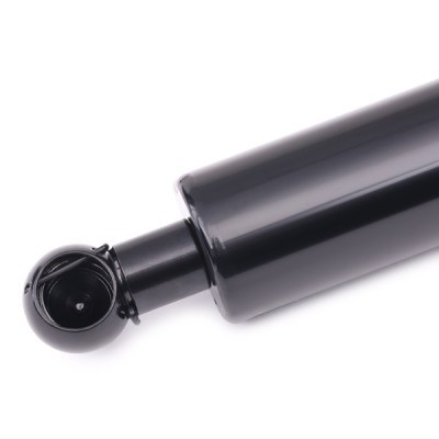 Gasfeder, Koffer-/Laderaum RIDEX 219G0045 219G0045 - foto 4
