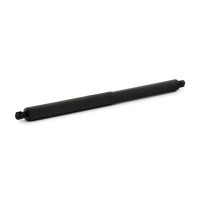 Gasfeder, Koffer-/Laderaum RIDEX 219G1124 219G1124 - foto 3