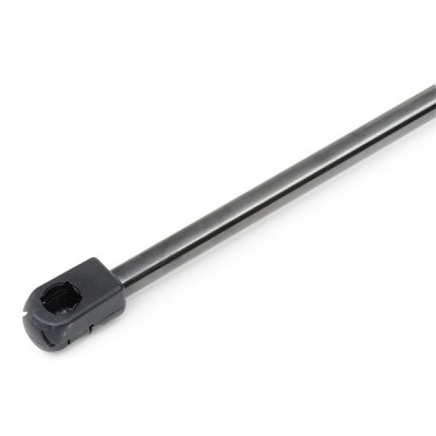 Gasfeder, Koffer-/Laderaum RIDEX 219G0314 219G0314 - foto 6