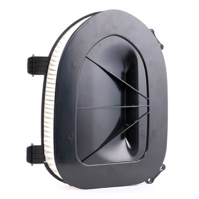 Luftfilter RIDEX 8A0276 8A0276 - foto 3