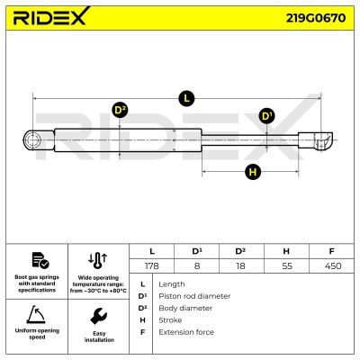Gasfeder, Koffer-/Laderaum RIDEX 219G0670 219G0670 - foto 6