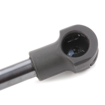 Gasfeder, Koffer-/Laderaum RIDEX 219G0033 219G0033 - foto 3