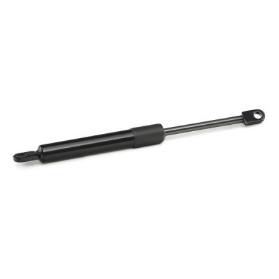 Gasfeder, Koffer-/Laderaum RIDEX 219G0984 219G0984 - foto 3