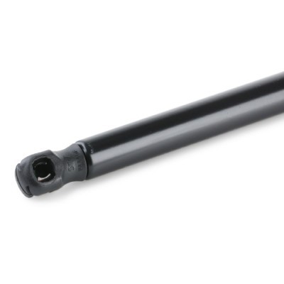 Gasfeder, Koffer-/Laderaum RIDEX 219G0665 219G0665 - foto 4