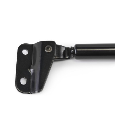 Gasfeder, Koffer-/Laderaum RIDEX 219G0972 219G0972 - foto 6