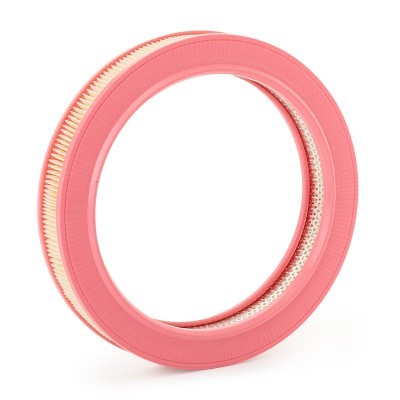 Luftfilter RIDEX 8A0683 8A0683 - foto 5
