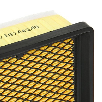 Luftfilter RIDEX 8A0144P 8A0144P - foto 5