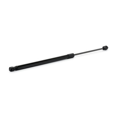 Gasfeder, Koffer-/Laderaum RIDEX 219G1211 219G1211 - foto 3