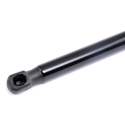 Gasfeder, Koffer-/Laderaum RIDEX 219G0248 219G0248 - foto 4