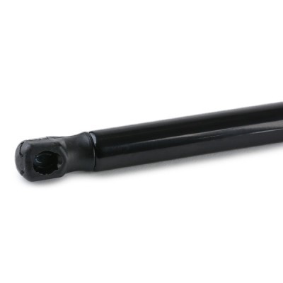 Gasfeder, Koffer-/Laderaum RIDEX 219G0896 219G0896 - foto 4