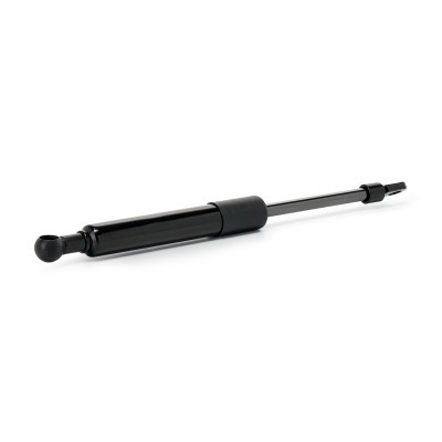 Gasfeder, Koffer-/Laderaum RIDEX 219G1329 219G1329 - foto 3
