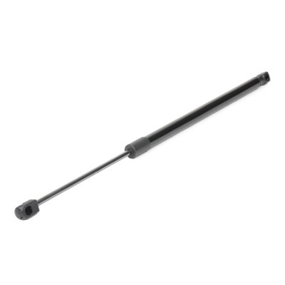 Gasfeder, Koffer-/Laderaum RIDEX 219G0844 219G0844 - foto 7