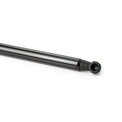 Gasfeder, Koffer-/Laderaum RIDEX 219G1305 219G1305 - foto 5