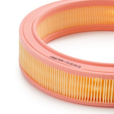 Luftfilter RIDEX 8A0972 8A0972 - foto 5