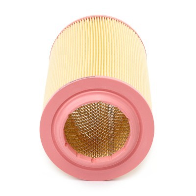 Luftfilter RIDEX 8A0099P 8A0099P - foto 4
