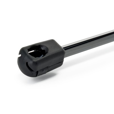 Gasfeder, Koffer-/Laderaum RIDEX 219G1557 219G1557 - foto 4