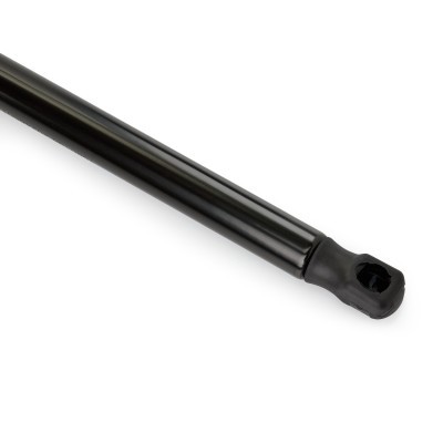 Gasfeder, Koffer-/Laderaum RIDEX 219G1353 219G1353 - foto 5