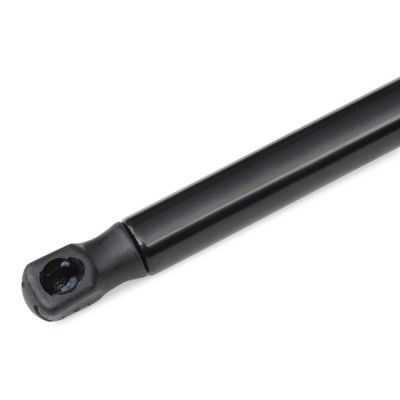 Gasfeder, Koffer-/Laderaum RIDEX 219G0287 219G0287 - foto 5