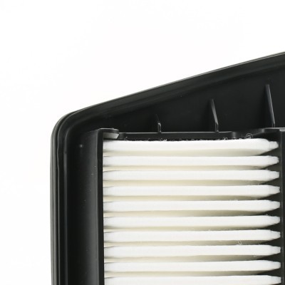 Luftfilter RIDEX 8A0505 8A0505 - foto 5